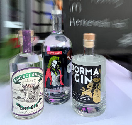 regionale-gins